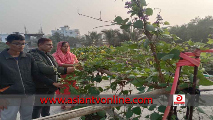 মধুপুরে অবসর সময়ে কাজ করে রোকনুজ্জামান গড়েছেন শখের ছাদকৃষি