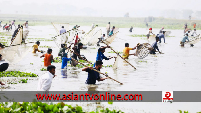 সিলেটে শুরু হলো ঐতিহ্যবাহী ‘পলো বাওয়া’ উৎসব