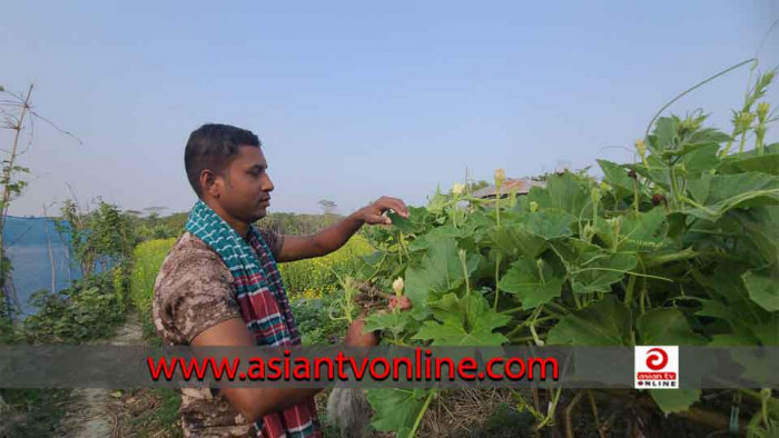 বিদেশ থেকে ফিরে কৃষি কাজে ব্যস্ত সময় পার করছেন তাহের