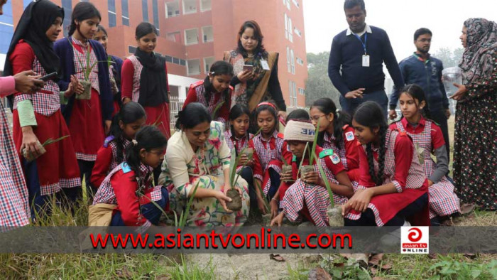 হাজারী গুরের ঐতিহ্য রক্ষায় খেজুর গাছের চারা বিতরণ