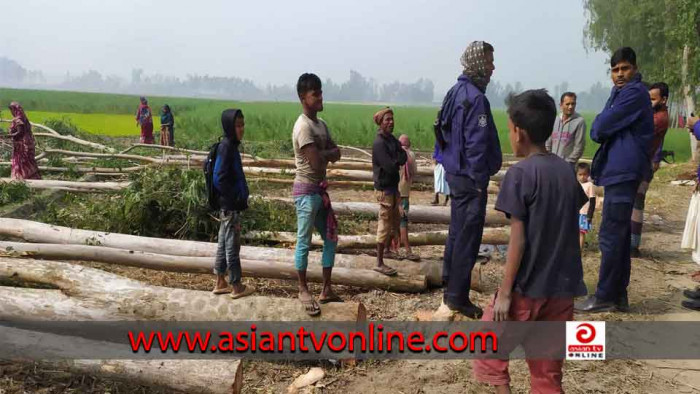 রায়গঞ্জে সরকারি রাস্তা থেকে গাছ কেটে নেওয়ার অভিযোগ