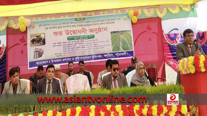 গলাচিপায় ব্লক প্রদর্শনীর ধানের চারা রোপণ কার্যক্রমের উদ্বোধন