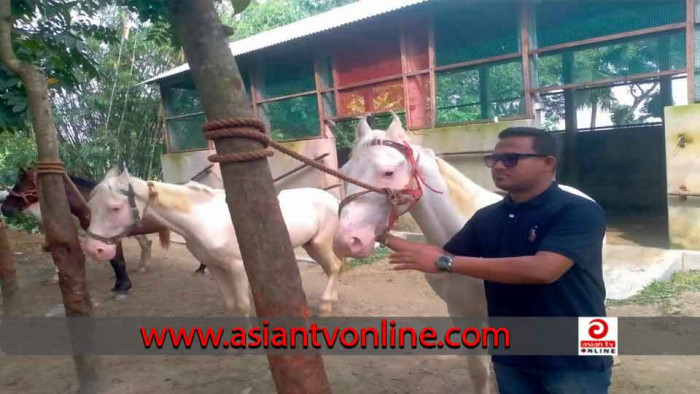 দেশের প্রথম বাণিজ্যিক ঘোড়ার খামার 'সঞ্জু হর্স ফার্ম'