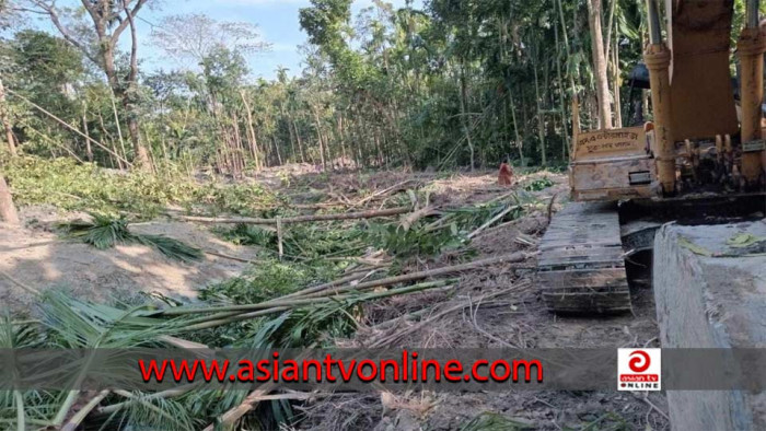 বেতাগীতে খাল খননকালে ব্যক্তি মালিকানার গাছ কর্তনের অভিযোগ