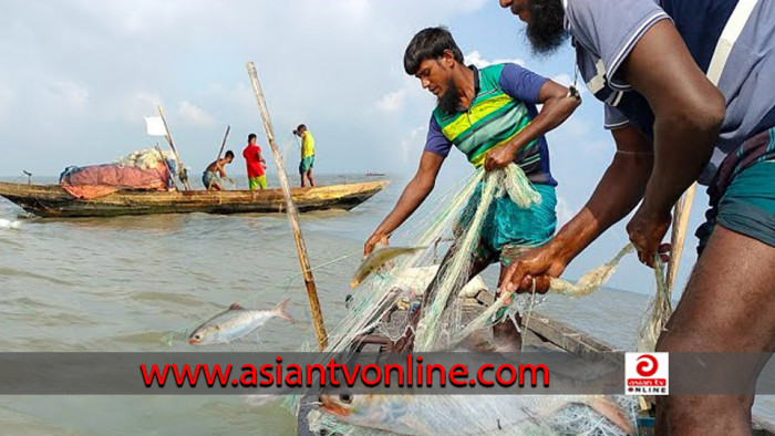 বরিশালের নদ-নদীতে কমেছে ইলিশ