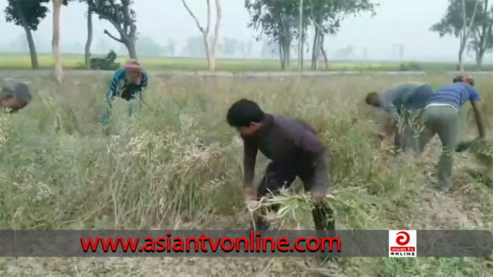 হিলিতে স্বল্পমূল্যে টিসিবি পণ্য বিক্রয় শুরু