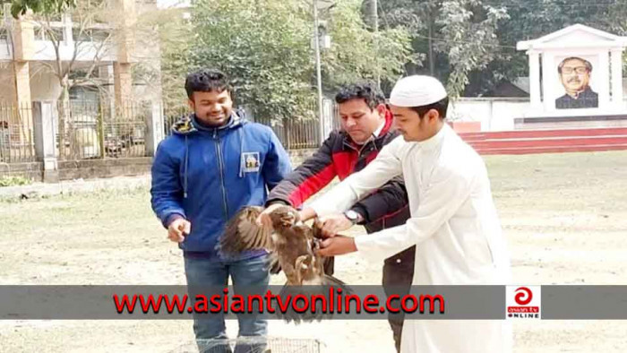 নীলফামারীতে অসুস্থ শকুনকে সুস্থ করে উড়িয়ে দেয়া হলো আকাশে