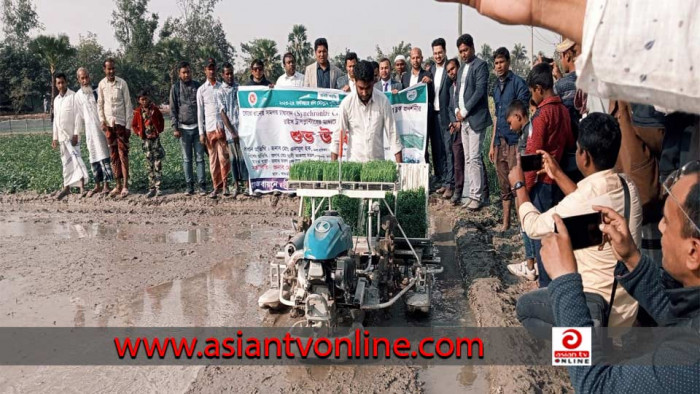 কালাইয়ে সমলয় পদ্ধতিতে বোরো ধানের চারা রোপণের উদ্বোধন