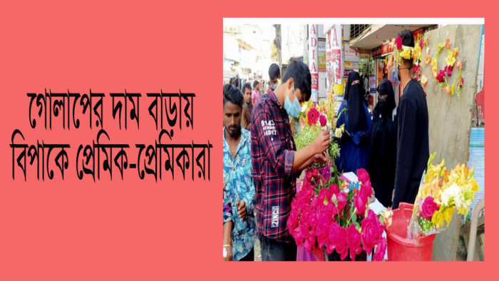 ২০ টাকার গোলাপ এখন ১০০ টাকা, বিপাকে প্রেমিক-প্রেমিকারা