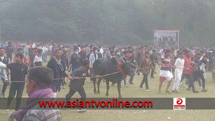 ঢাক-ঢোলের তালে তালে অনুষ্ঠিত হলো গরু দৌড় প্রতিযোগিতা