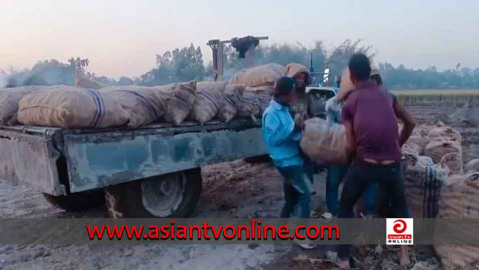 ক্ষেতেই বিক্রি হয়ে যাচ্ছে আলু, হিমাগার ফাঁকা থাকার শঙ্কা মালিকদের