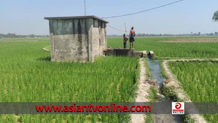 কালাইয়ে পানির সেচ মূল্য বৃদ্ধিতে বিপাকে চাষিরা