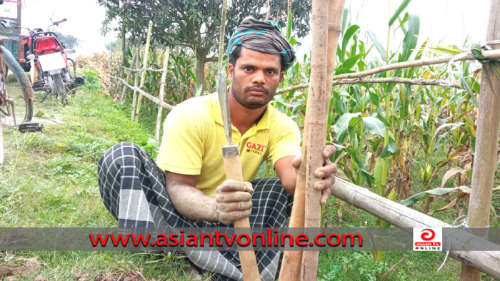 শিবগঞ্জে ১৪ বছর ধরে নিজ খরচে রাস্তা মেরামত ও গাছ লাগান কামলা আমির