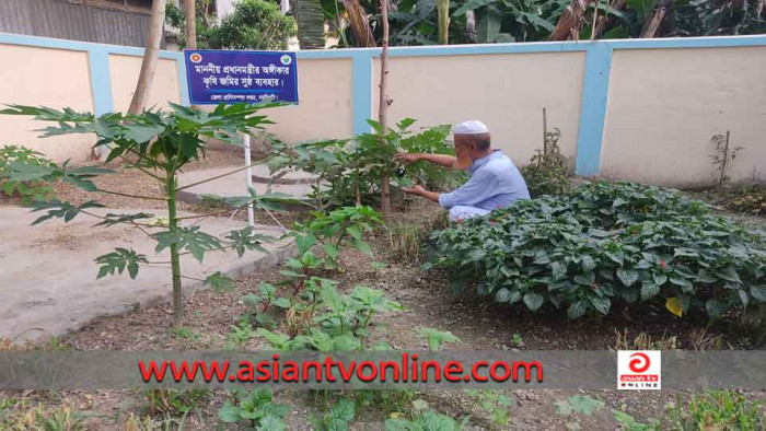 দৃষ্টি কাড়ছে নরসিংদীর প্রাণিসম্প দপ্তরের ফুল, ফল ও সবজি বাগান