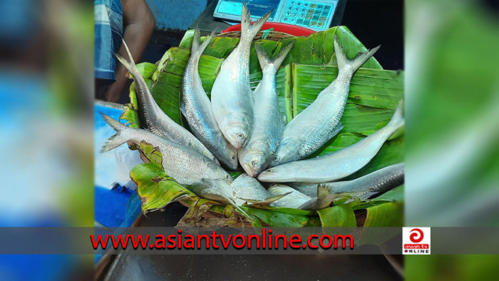 পটুয়াখালীতে ইলিশ মাছের বাজার আকাশচুম্বী