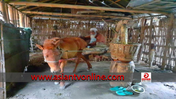 কিশোরগঞ্জে ঘোড়ার ঘানিতে ভর করে চলছে বৃদ্ধের ৫ সদস্যের সংসার