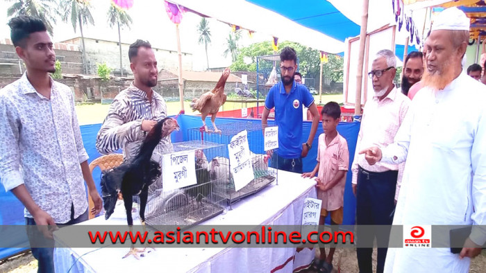 নরসিংদীতে পাখিসহ রংবেরঙের প্রাণি মেলা