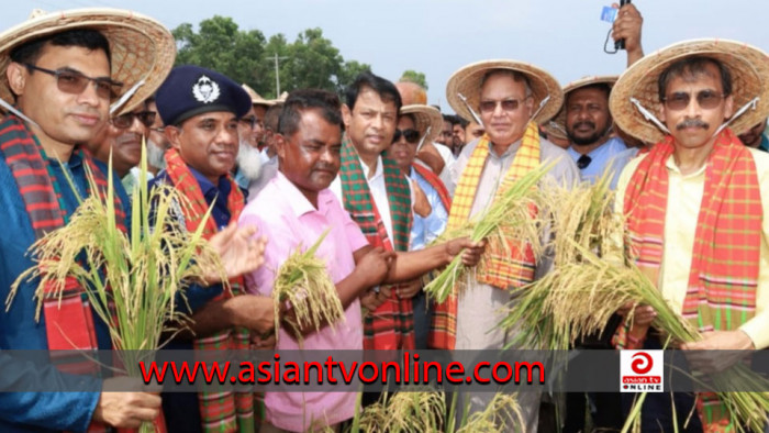 হিসাব করেই ধানের দাম নির্ধারণ করা হয়েছে: কৃষিমন্ত্রী