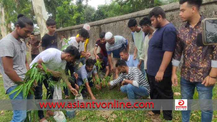 বেগমগঞ্জের গোপালপুরে ছাত্রলীগের বৃক্ষরোপণ