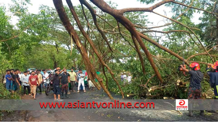 কাপ্তাই সড়কে রিক্সার উপর ভেঙে পড়েছে গাছ, এক ঘণ্টা যান চলাচল বন্ধ