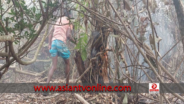 সুন্দরবনের আগুন নেভানোর কাজ শুরু, যোগ দিয়েছে নৌ ও বিমানবাহিনী