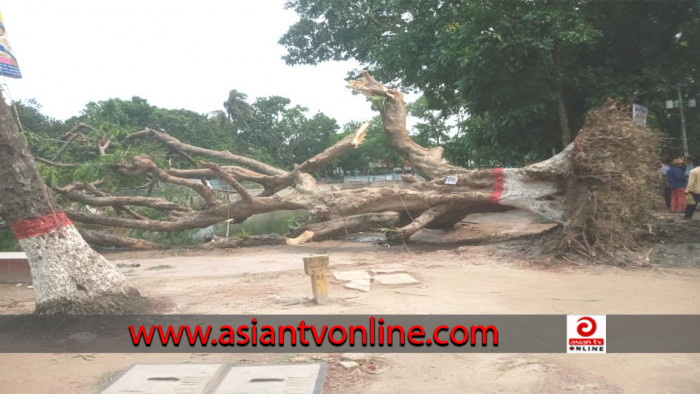 নাসিরনগরে কালবৈশাখীর তাণ্ডবে ক্ষতিগ্রস্ত ৪০ বাড়ি, বিদ্যুৎহীন অনেক গ্রাম