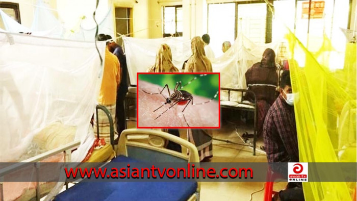 ডেঙ্গুতে আরও ৪ জনের মৃত্যু, হাসপাতালে ৬৬০