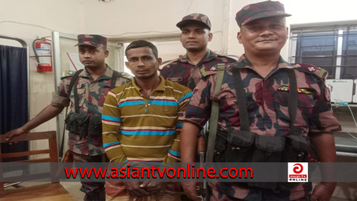 ভারতীয় গরু আনতে গিয়ে বিজিবির হাতে যুবক আটক