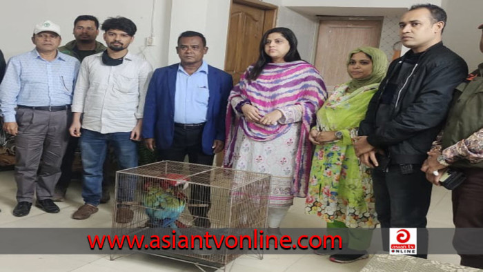 গাজীপুরের সাফারি পার্কের চুরি হওয়া ম্যাকাও পাখি উদ্ধার
