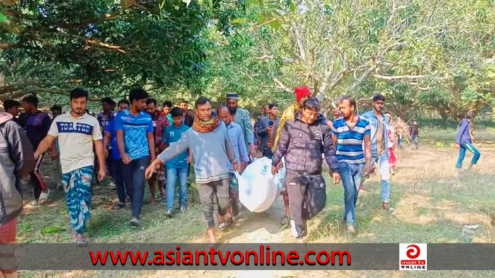মেহেরপুরে নারীকে কুপিয়ে হত্যা