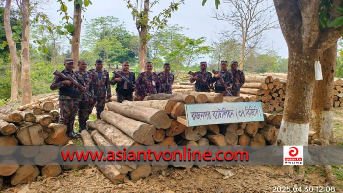 রাজনগর বিজিবির অভিযানে বিপুল পরিমাণে অবৈধ কাঠ জব্দ
