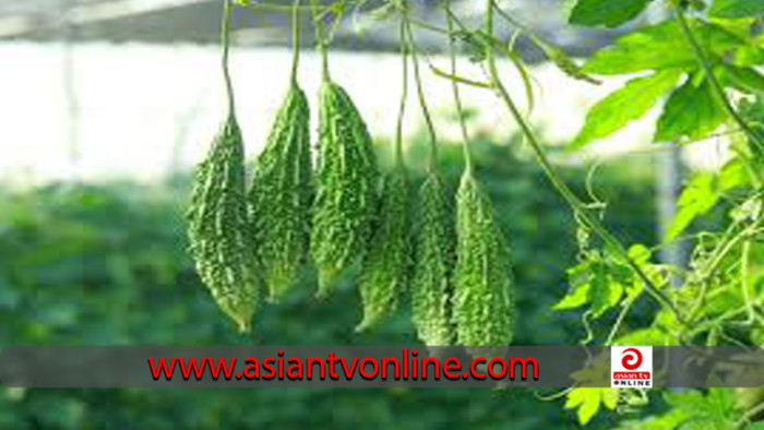 যে পাঁচ কৌশলে কমাবেন করলার তেতোভাব