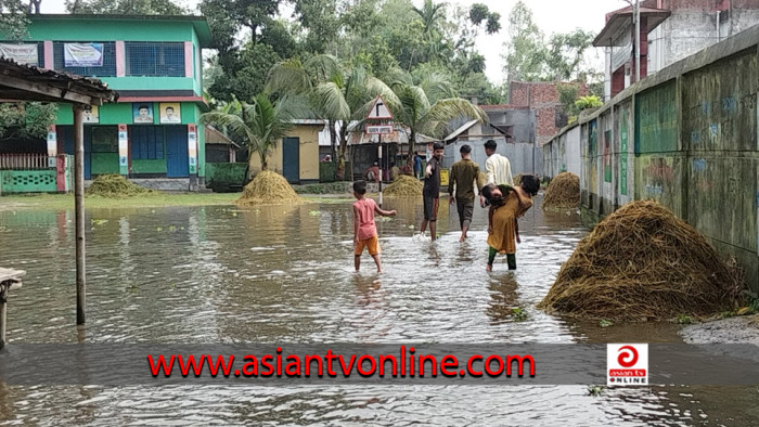 লালমনিরহাটে তিস্তার পানি বৃদ্ধি, চরাঞ্চলে ফসলের ব্যাপক ক্ষতি