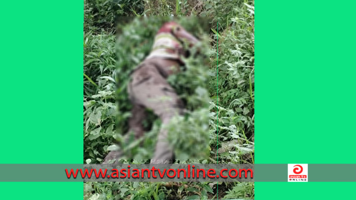 নাচোলে আমবাগান থেকে গলাকাটা যুবকের মরদেহ উদ্ধার