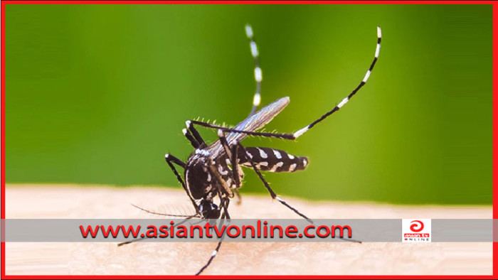 ডেঙ্গুতে আরও দুইজনের মৃত্যু, হাসপাতালে ভর্তি ৩৯২