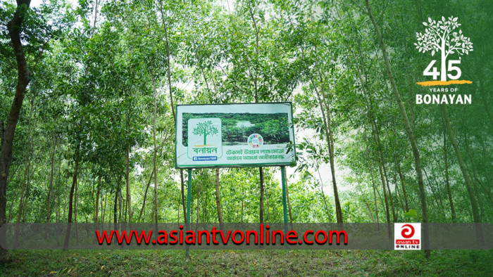 সবুজ বাংলাদেশের স্বপ্ন সারথি: বনায়নের চার দশকের অগ্রযাত্রা