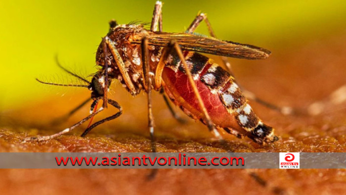 ডেঙ্গুতে আরও ২ জনের মৃত্যু, হাসপাতালে ১৯৫