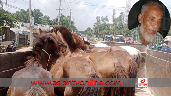মধুপুর বনে ঘোড়া জবাই, ৭টা ঘোড়াসহ কসাই আটক