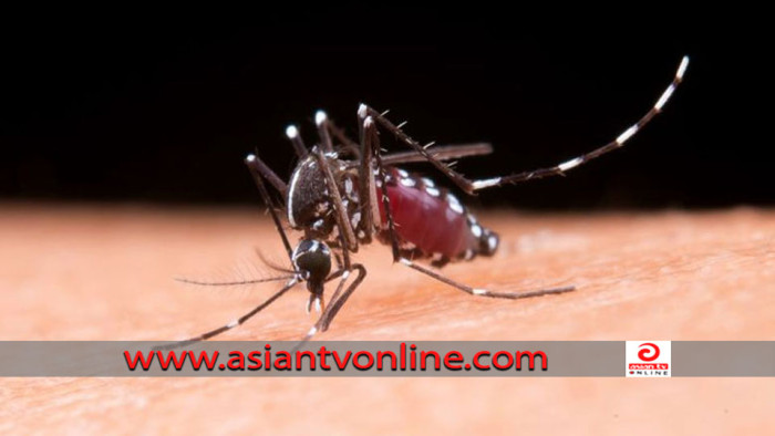 একদিনে রেকর্ড ৪২৯ জনের ডেঙ্গু শনাক্ত