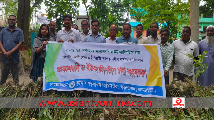 বকশীগঞ্জে পরিবেশ দূষণকারী ইউক্যিালিপটাস ও আকাশমনি চারা ধ্বংস