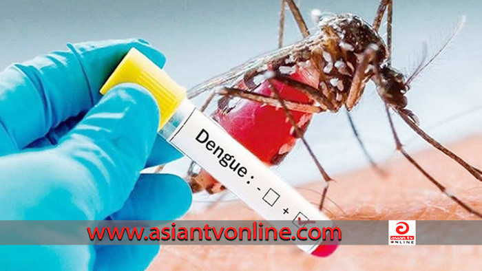 ডেঙ্গুতে আরও ২০৪ জন শনাক্ত