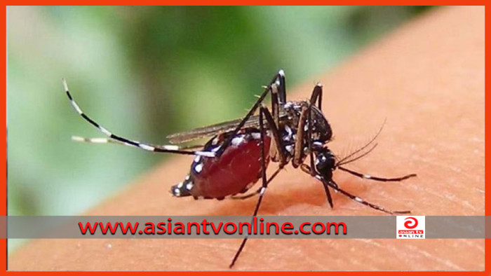 ডেঙ্গুতে আরও ৪ মৃত্যু, হাসপাতালে ৩১৯
