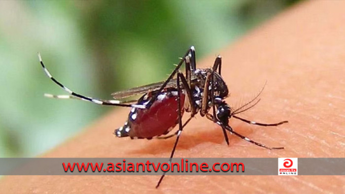 ডেঙ্গুতে আরও ৩ জনের প্রাণ গেলো